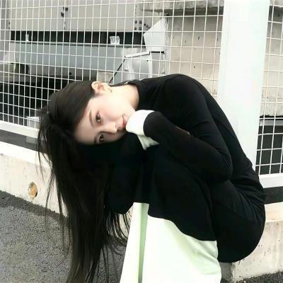 守法的盗贼
